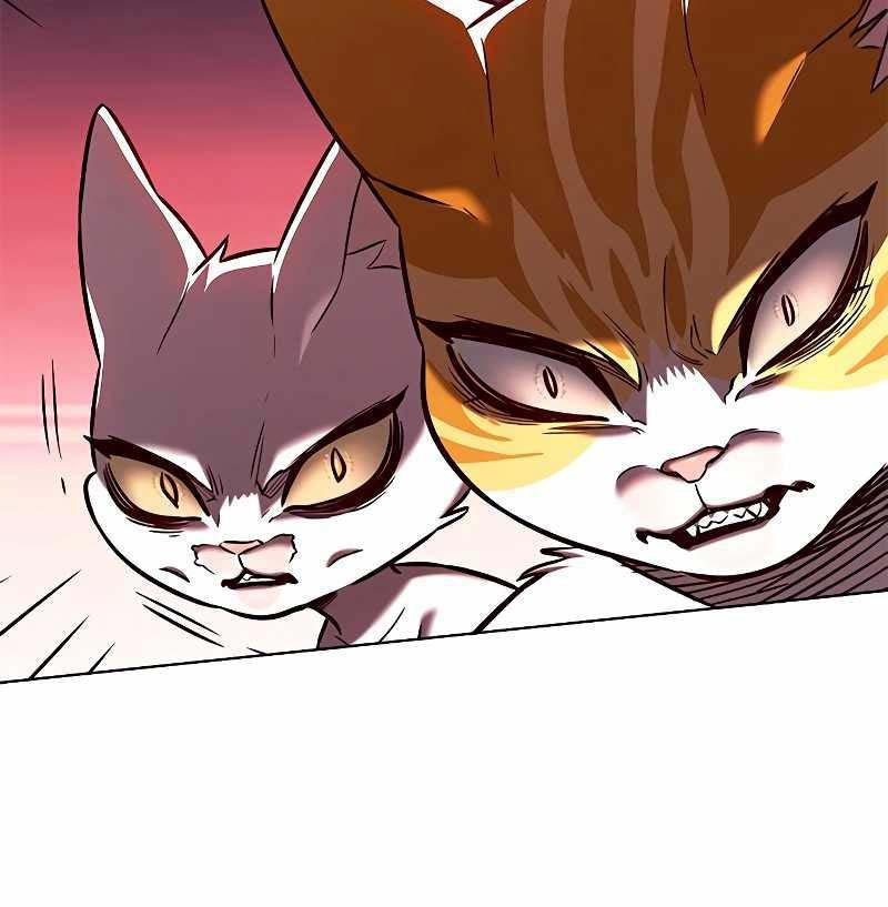 Eleceed - Chapter 257 - Page 26