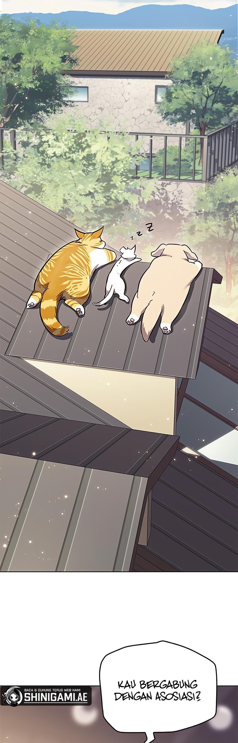 Eleceed - Chapter 347 - Page 24