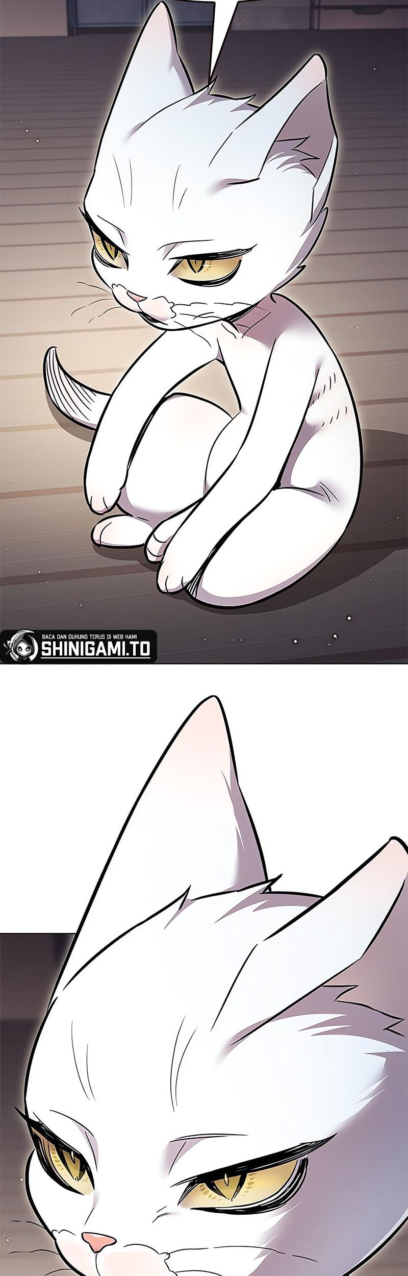 Eleceed - Chapter 355 - Page 46