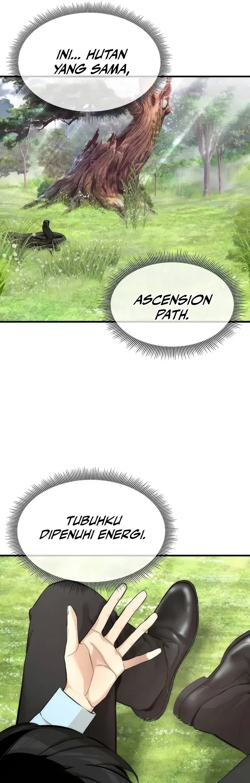 The Regressor’s Tale of Cultivation - Chapter 8 - Page 4