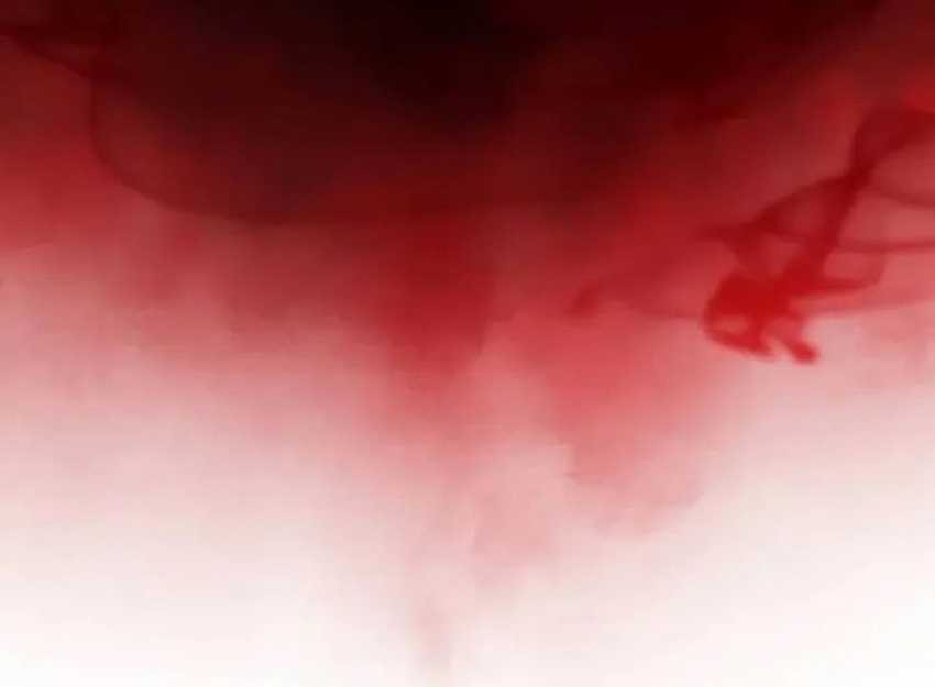 The Regressed Son Of A Duke Is An Assassin - Chapter 58 - Page 80