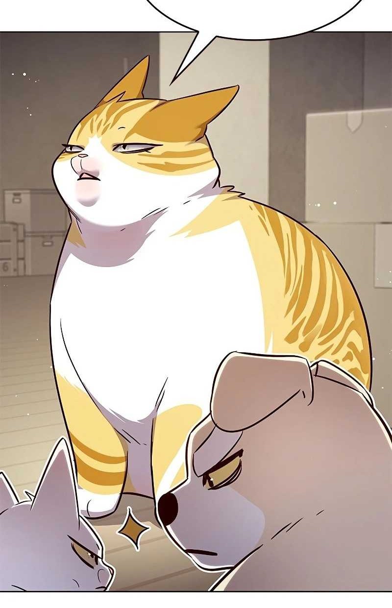 Eleceed - Chapter 337 - Page 29