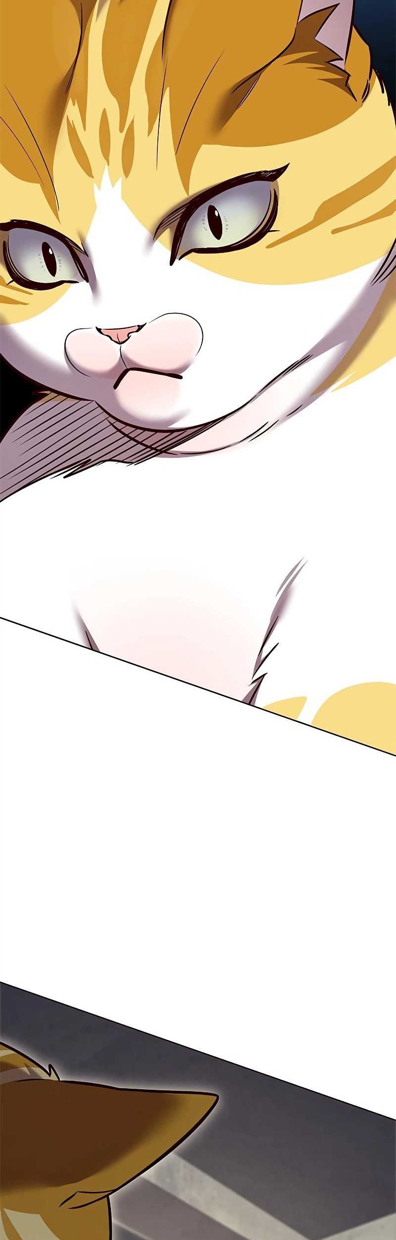 Eleceed - Chapter 309 - Page 71