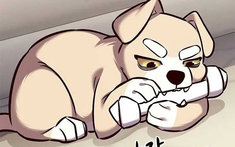 Eleceed - Chapter 291 - Page 5