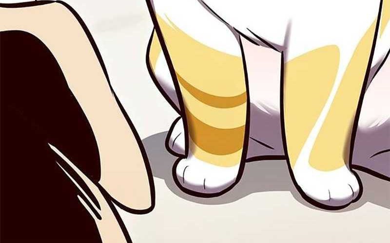 Eleceed - Chapter 285 - Page 15