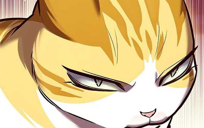 Eleceed - Chapter 285 - Page 17