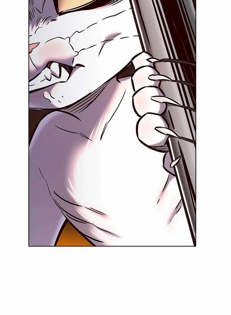 Eleceed - Chapter 249 - Page 35