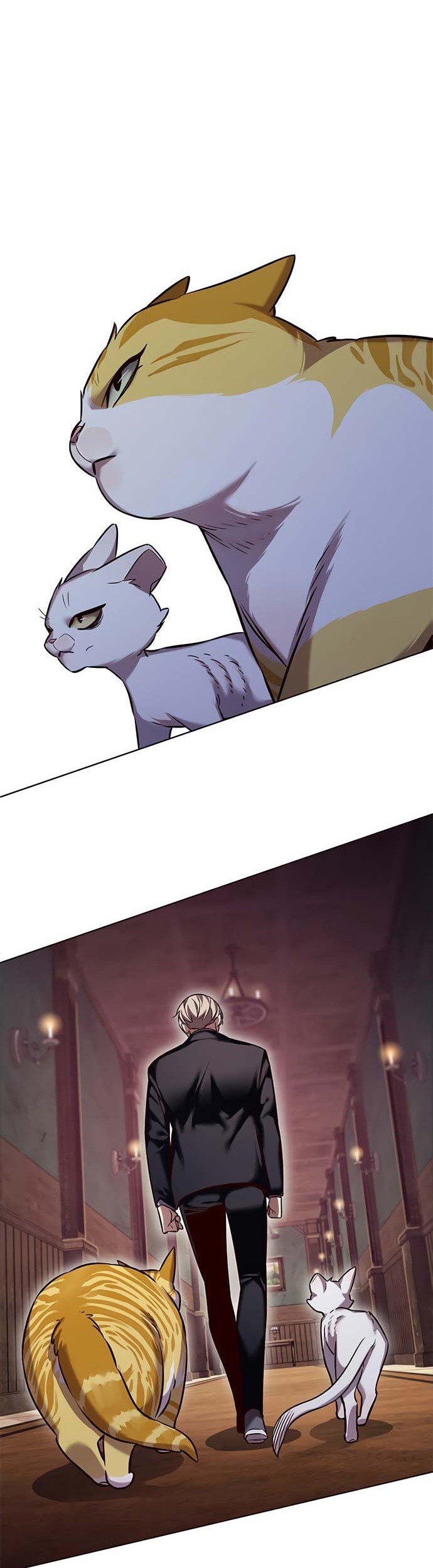 Eleceed - Chapter 246 - Page 29