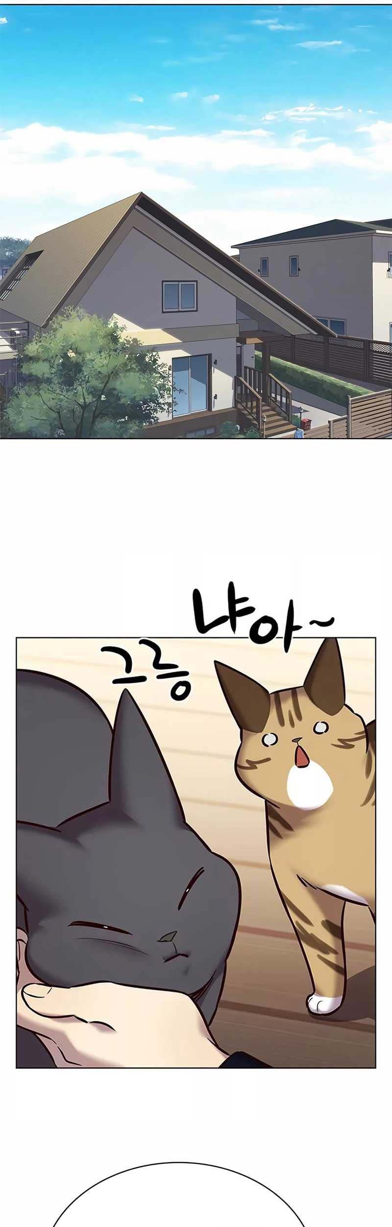 Eleceed - Chapter 244 - Page 37