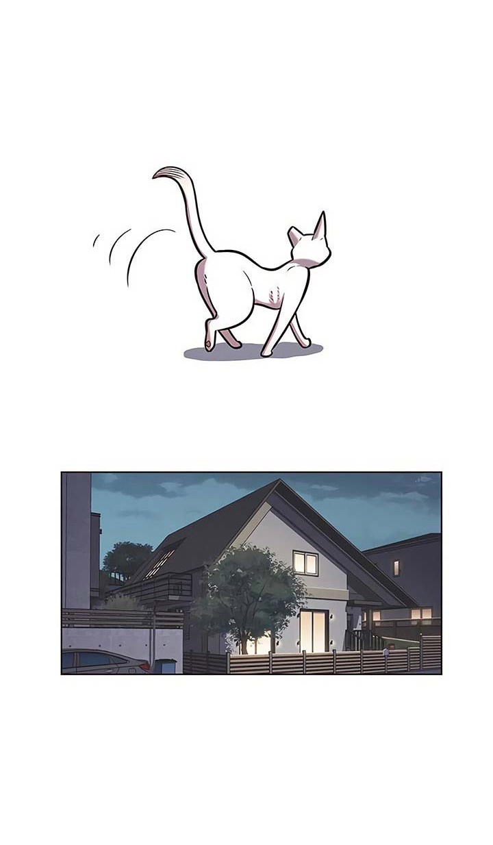 Eleceed - Chapter 178 - Page 29