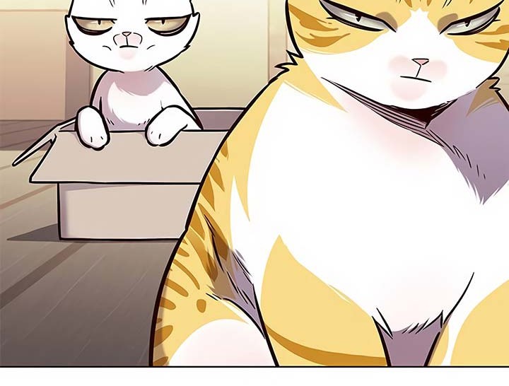 Eleceed - Chapter 174 - Page 37