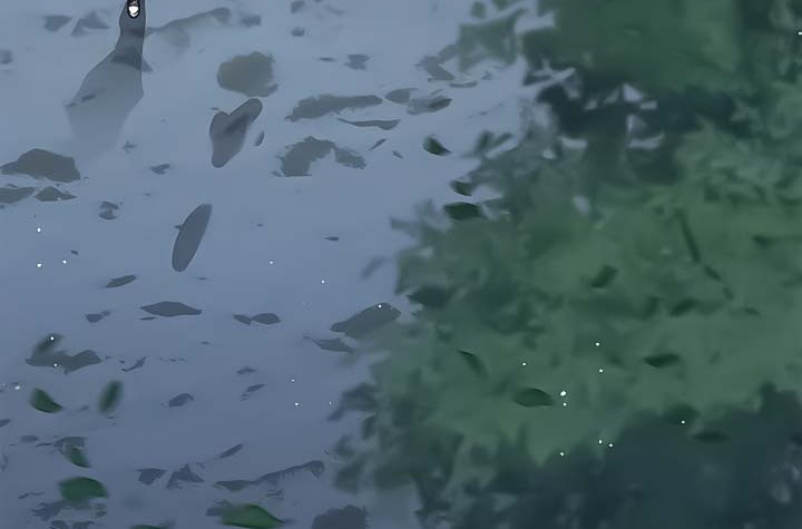 Eleceed - Chapter 169 - Page 38