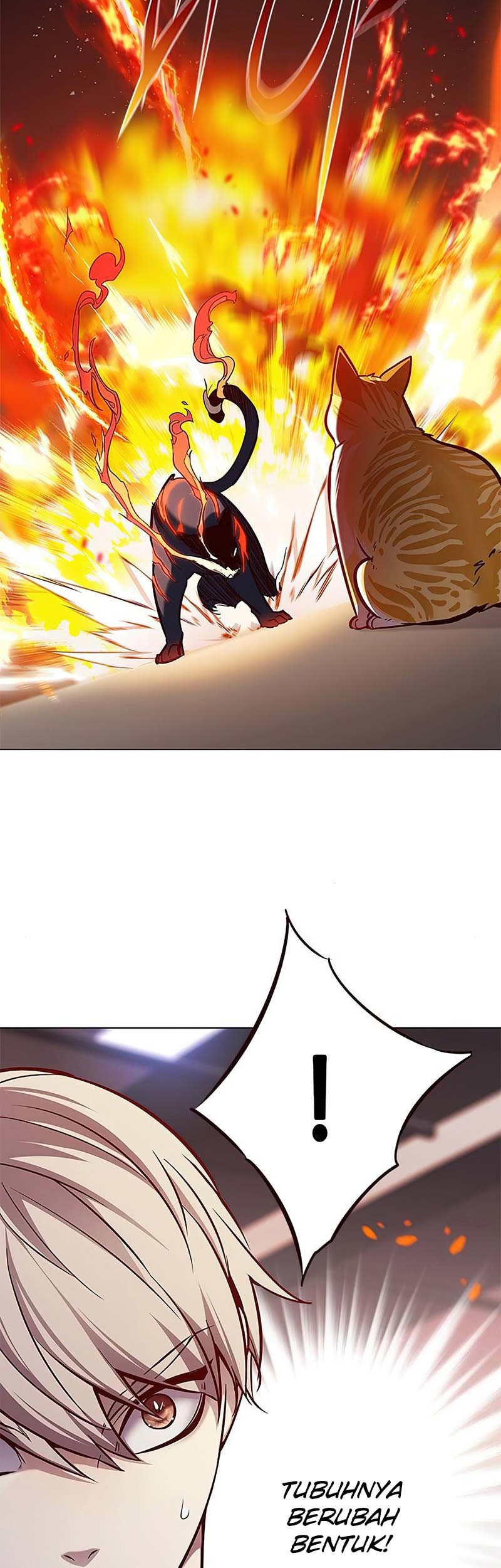 Eleceed - Chapter 162 - Page 50