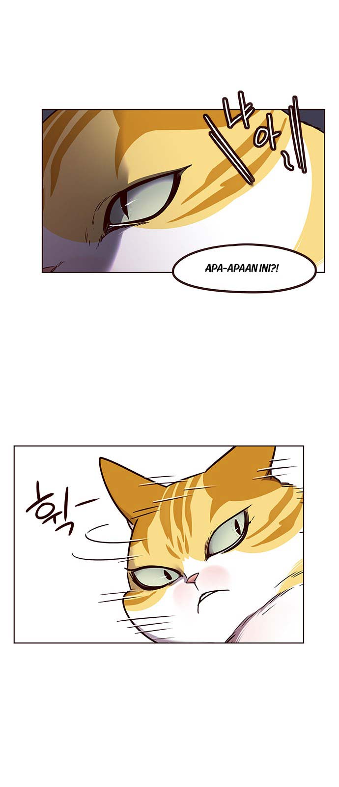 Eleceed - Chapter 58 - Page 5