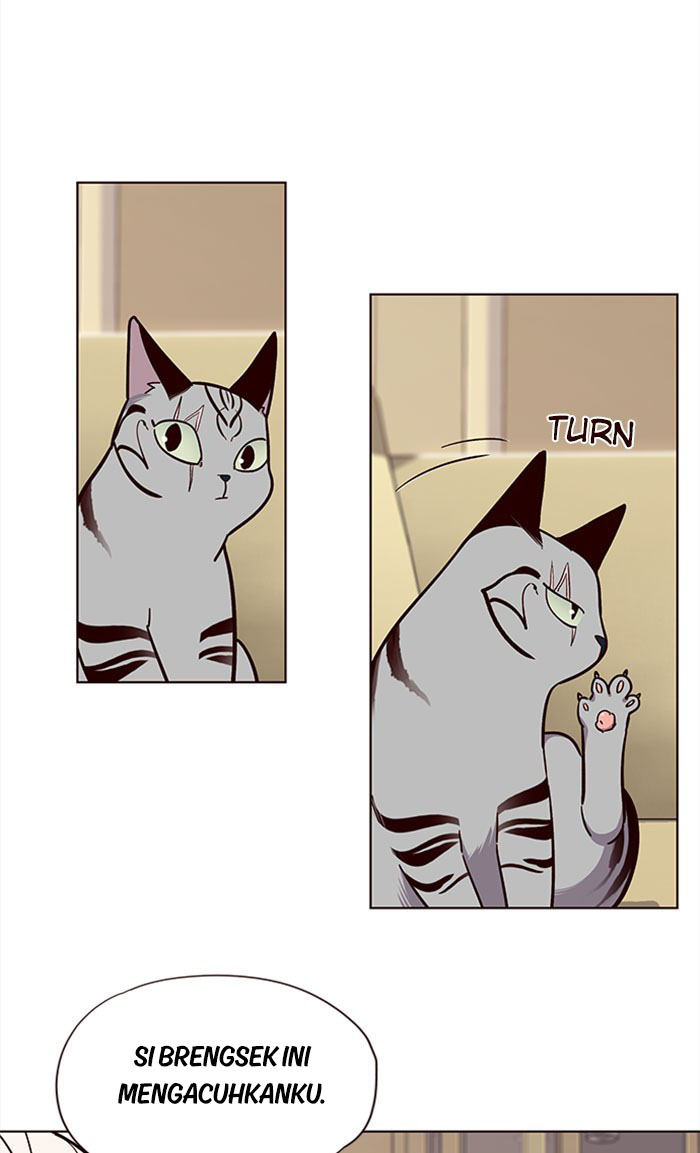 Eleceed - Chapter 38 - Page 53