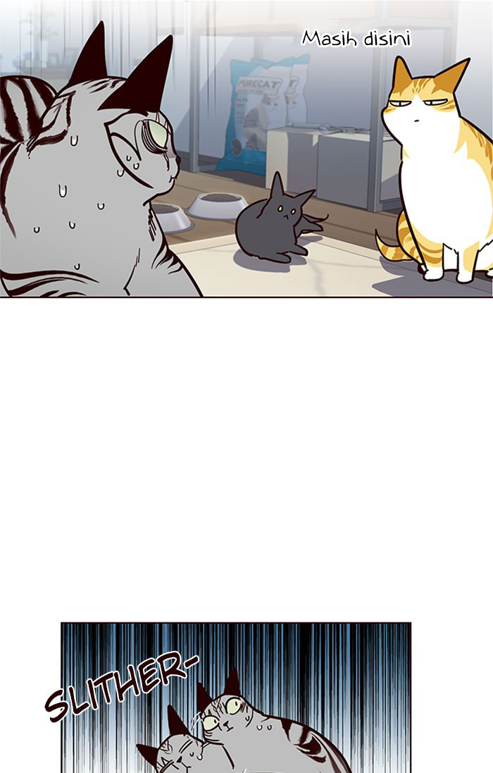 Eleceed - Chapter 37 - Page 41