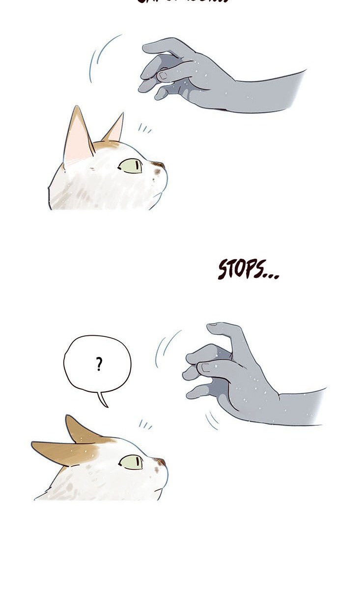 Eleceed - Chapter 7 - Page 19