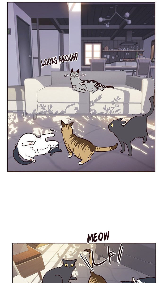 Eleceed - Chapter 7 - Page 52