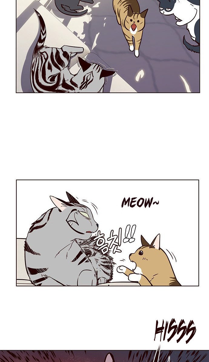 Eleceed - Chapter 7 - Page 53