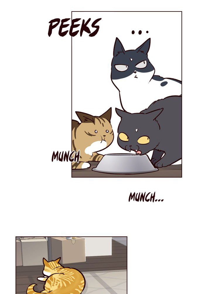 Eleceed - Chapter 6 - Page 68