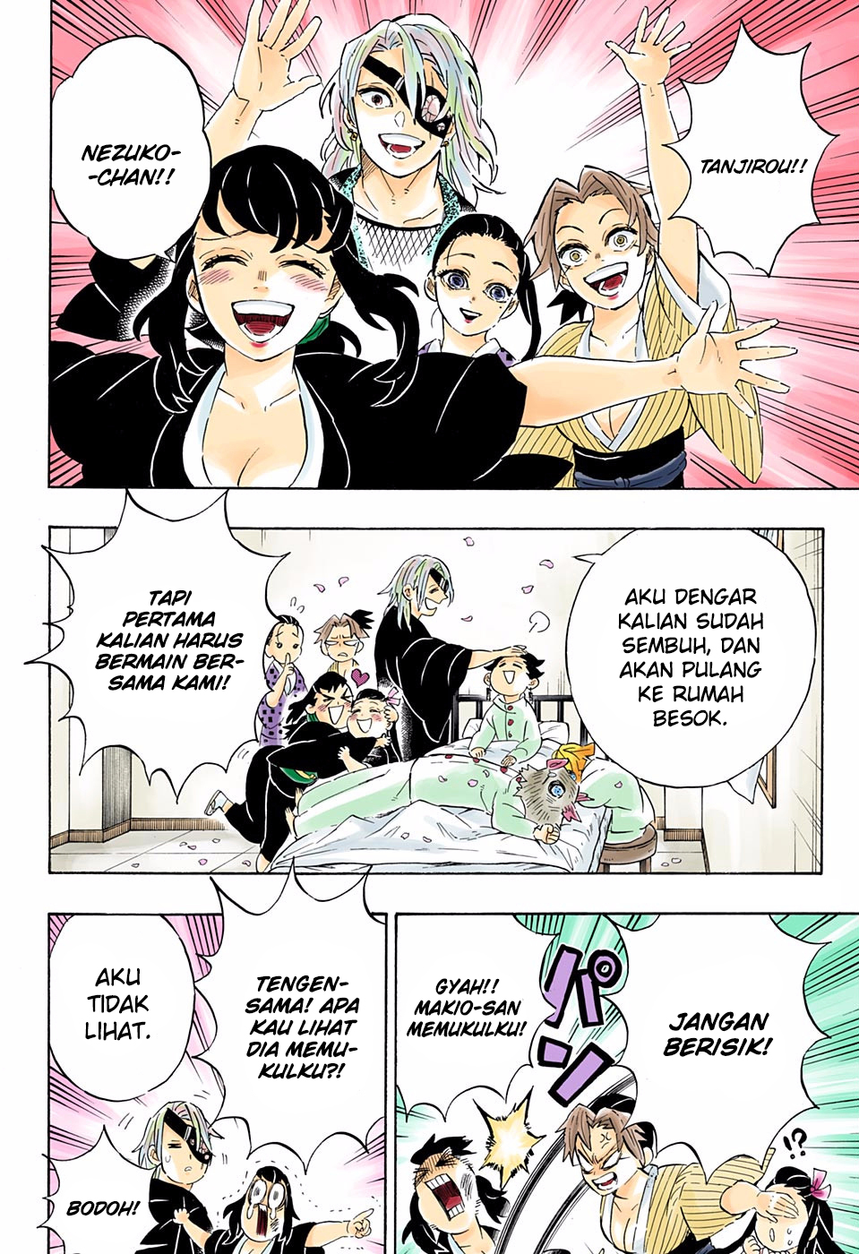 Kimetsu no Yaiba Chapter 204.5 - https://gambar-id.komiku.org/wp-content/uploads/2226896-15.jpg