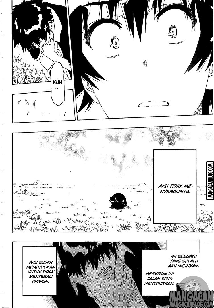 Nisekoi Chapter 226 Gambar 16
