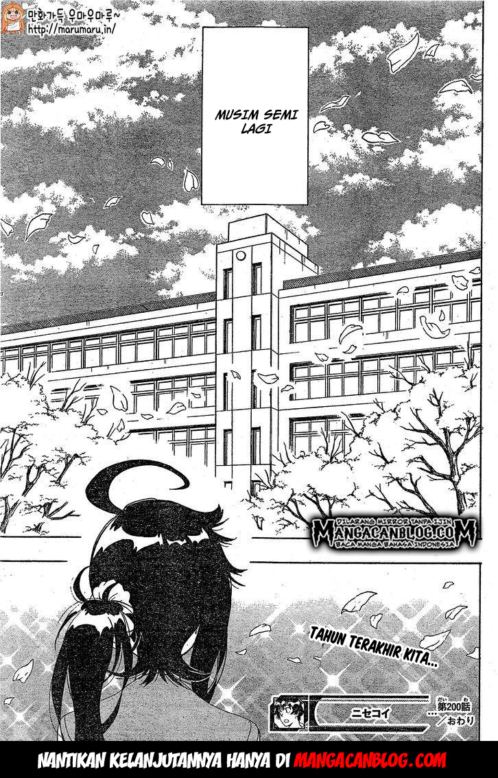 Nisekoi Chapter 200 Gambar 18